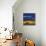 My House-Tandi Venter-Stretched Canvas displayed on a wall