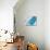 My Island Of Blue-Ajoya Grace-Stretched Canvas displayed on a wall