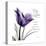 My Love Tulip-Albert Koetsier-Stretched Canvas