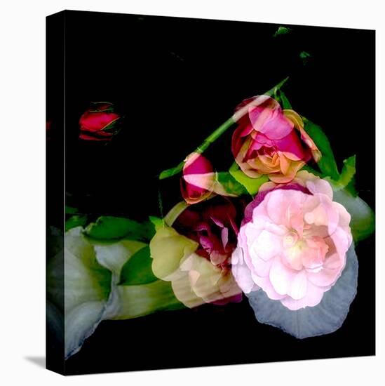 MY MUM'S FLOWER-Linda Arthurs-Premier Image Canvas