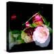 MY MUM'S FLOWER-Linda Arthurs-Premier Image Canvas