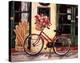 My Red Bicycle-Suzanne Etienne-Stretched Canvas