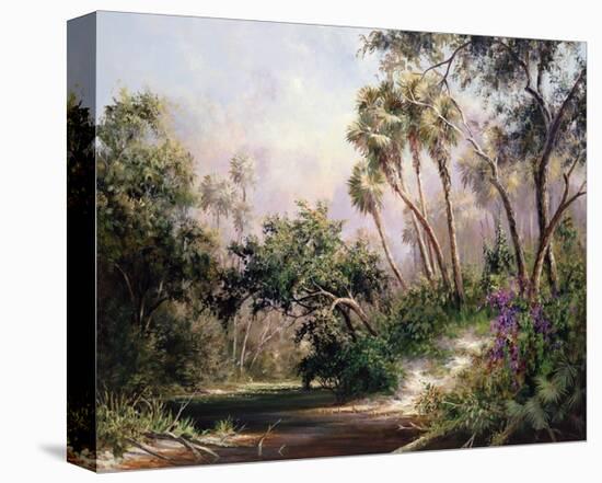 Myakka River Scene-Art Fronckowiak-Stretched Canvas