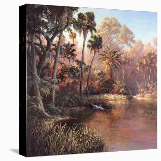 Myakka Sunset-Art Fronckowiak-Stretched Canvas