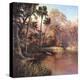 Myakka Sunset-Art Fronckowiak-Stretched Canvas