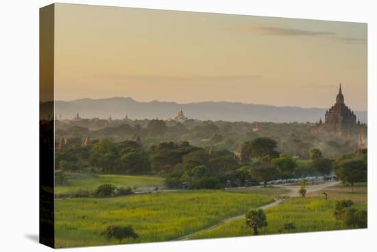 Myanmar. Bagan. Horse Carts and Cattle Walk the Roads at Sunset-Inger Hogstrom-Premier Image Canvas