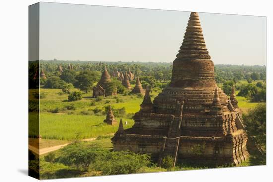 Myanmar. Bagan. the Plain of Bagan Is Dotted with Hundreds of Temples-Inger Hogstrom-Premier Image Canvas