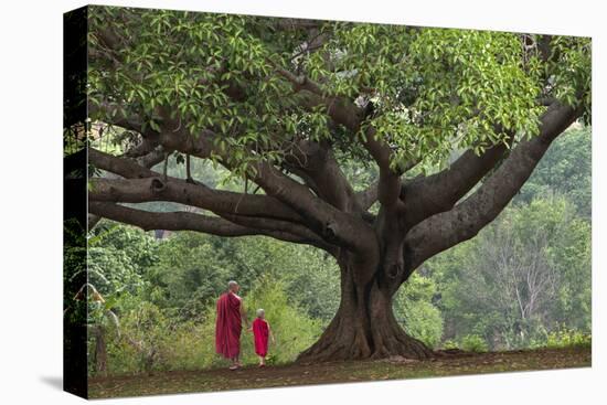 Myanmar, Pindaya. Buddhist Monks under Giant Banyan Tree-Jaynes Gallery-Premier Image Canvas