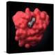 Myoglobin Molecule-Visual Science-Premier Image Canvas