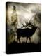 Mystic Elk-LightBoxJournal-Premier Image Canvas