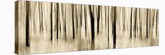 Mystic Forest 1252 Panoramic-Rica Belna-Premier Image Canvas