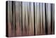 Mystic Forest 1270-Rica Belna-Premier Image Canvas