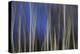 Mystic Forest 1287-Rica Belna-Premier Image Canvas