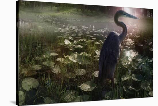 Mystic Heron-Steve Hunziker-Stretched Canvas