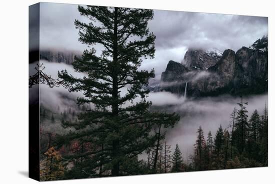 Mystical Fog Fills Yosemite Valley at Bridalveil Falls January National Parks-Vincent James-Premier Image Canvas