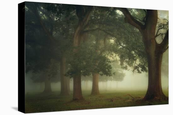 Mystical Moments-Ellen Borggreve-Premier Image Canvas