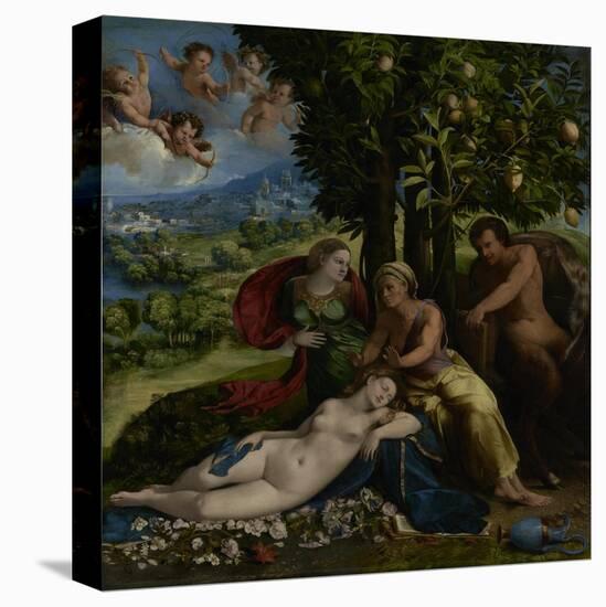 Mythological Scene, c.1524-Dosso Dossi-Premier Image Canvas
