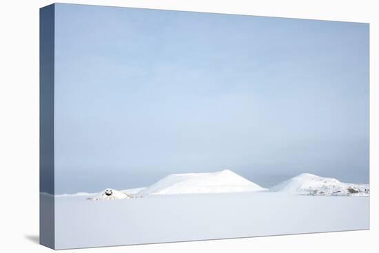 Myvatn, North Iceland-Julia Wellner-Premier Image Canvas