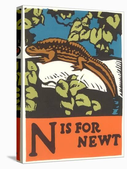 N is for Newt-null-Stretched Canvas