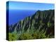 Na Pali Coast, Kauai, Hawaii, USA-Charles Sleicher-Premier Image Canvas