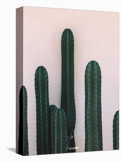 Naked Cactus-PhotoINC Studio-Stretched Canvas