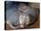 Naked Mole Rats-null-Premier Image Canvas