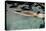 Naked woman diving in swimming pool-Panoramic Images-Premier Image Canvas