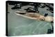 Naked woman diving in swimming pool-Panoramic Images-Premier Image Canvas