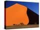 Namib Desert Dune 45 at Sunrise-null-Premier Image Canvas