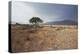 Namib-Naukluft National Park at Sunrise-Alex Saberi-Premier Image Canvas