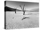 Namibia Dead Vlei-Nina Papiorek-Premier Image Canvas