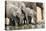 Namibia, Etosha National Park. Elephants Drinking at Waterhole-Wendy Kaveney-Premier Image Canvas