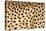 Namibia, Keetmanshoop. Close-up view of cheetah fur.-Jaynes Gallery-Premier Image Canvas