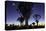 Namibia, Keetmanshoop. Quiver tree Forest at sunrise.-Jaynes Gallery-Premier Image Canvas