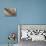 Namibia, Kolmanskop. Banister and Door Inside Abandoned House-Wendy Kaveney-Premier Image Canvas displayed on a wall