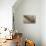 Namibia, Kolmanskop. Banister and Door Inside Abandoned House-Wendy Kaveney-Premier Image Canvas displayed on a wall