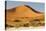 Namibia, Namib-Naukluft National Park, Sossusvlei. Large red dune rising from a while pan.-Ellen Goff-Premier Image Canvas