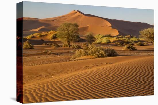 Namibia, Namib-Naukluft National Park, Sossusvlei. Scenic red dunes.-Ellen Goff-Premier Image Canvas