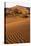 Namibia, Namib-Naukluft National Park, Sossusvlei. Scenic red dunes.-Ellen Goff-Premier Image Canvas