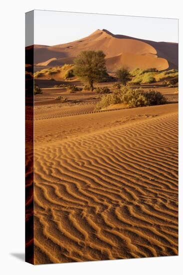 Namibia, Namib-Naukluft National Park, Sossusvlei. Scenic red dunes.-Ellen Goff-Premier Image Canvas