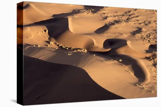 Namibia, Namib-Naukluft Park. Abstract aerial of sand dunes.-Jaynes Gallery-Premier Image Canvas