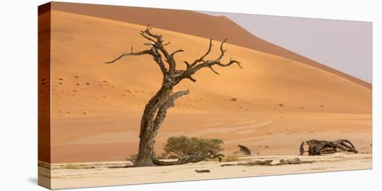 Namibia, Namib-Naukluft Park, Deadvlei. Dead tree and sand dunes.-Jaynes Gallery-Premier Image Canvas