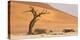 Namibia, Namib-Naukluft Park, Deadvlei. Dead tree and sand dunes.-Jaynes Gallery-Premier Image Canvas