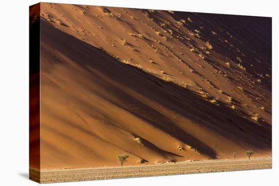 Namibia, Namib-Naukluft Park. Desert sand dune at sunset.-Jaynes Gallery-Premier Image Canvas