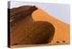 Namibia, Namib-Naukluft Park. Giant sand dune and trees.-Jaynes Gallery-Premier Image Canvas