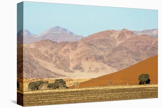 Namibia, Namib-Naukluft Park. Sand Dune and Contrasting Mountains-Wendy Kaveney-Premier Image Canvas