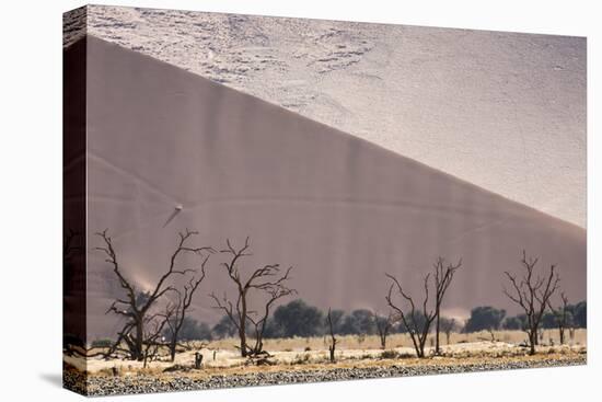 Namibia, Namib-Naukluft Park. Sand Dunes and Skeleton Trees-Wendy Kaveney-Premier Image Canvas