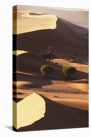 Namibia, Sesriem and Sossusvlei, Sand Dunes Desert at Namib NP-Gavriel Jecan-Premier Image Canvas