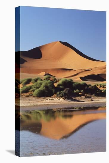 Namibia, Sossusvlei Region, Sand Dunes-Gavriel Jecan-Premier Image Canvas