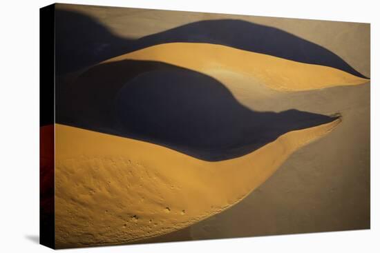 Namibia-Art Wolfe-Premier Image Canvas